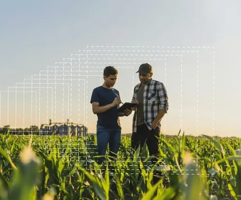 Two men checking a tablet in a field at dusk